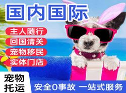 宁远空运地址国际宠物托运 【国